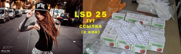 сатива Баксан