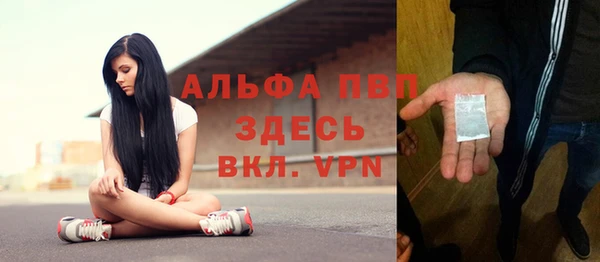 сатива Баксан
