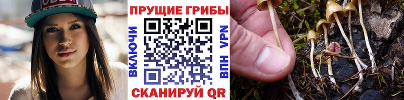 kraken ССЫЛКА  Шумиха  Галлюциногенные грибы мухоморы 